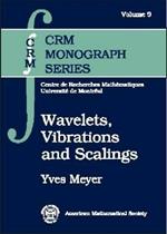 Wavelets, Vibrations and Scalings