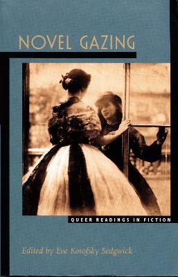 Novel Gazing: Queer Readings in Fiction - cover