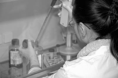 Biocapital: The Constitution of Postgenomic Life - Kaushik Sunder Rajan - cover