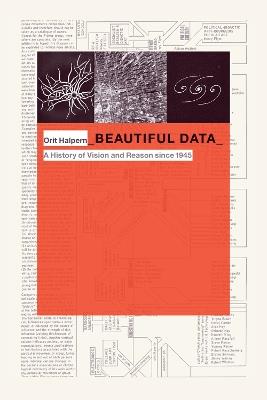 Beautiful Data: A History of Vision and Reason since 1945 - Orit Halpern - cover