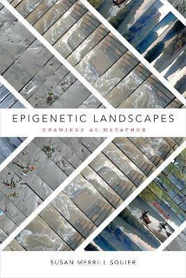 Epigenetic Landscapes: Drawings as Metaphor - Susan Merrill Squier - cover