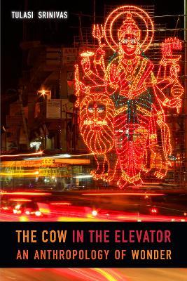 The Cow in the Elevator: An Anthropology of Wonder - Tulasi Srinivas - cover