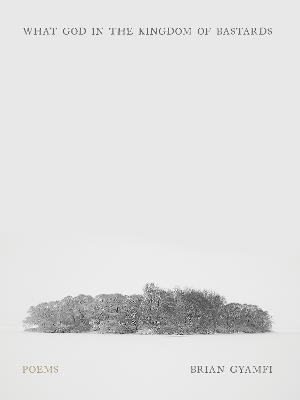 What God in the Kingdom of Bastards: Poems - Brian Gyamfi - cover