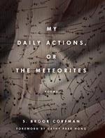 My Daily Actions, or The Meteorites
