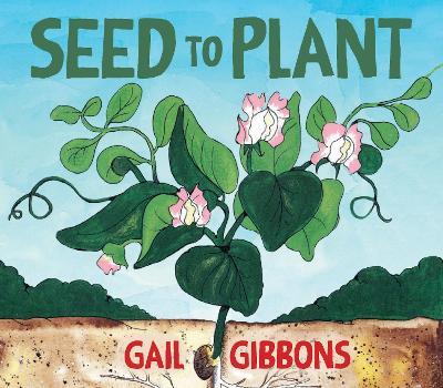 Seed to Plant - Gail Gibbons - cover