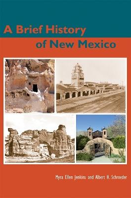 Brief History of New Mexico - JENKINS - cover