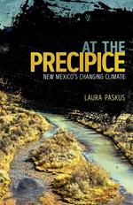 At the Precipice