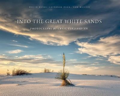 Into the Great White Sands - cover