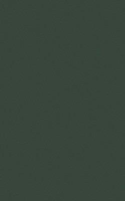 A Critical Introduction to Phonetics - Ken Lodge - cover