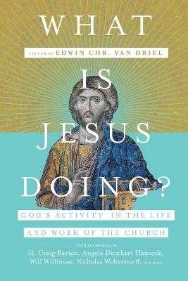 What Is Jesus Doing? – God`s Activity in the Life and Work of the Church - Edwin Chr. Van Driel - cover