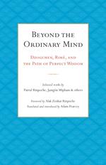 Beyond the Ordinary Mind