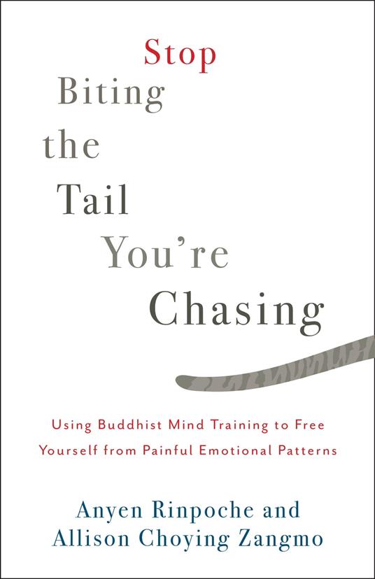 Stop Biting the Tail You're Chasing