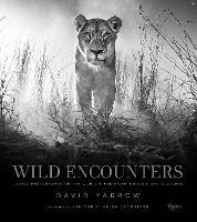 Wild Encounters: Iconic Photographs of the World's Vanishing Animals and Cultures - David Yarrow - cover