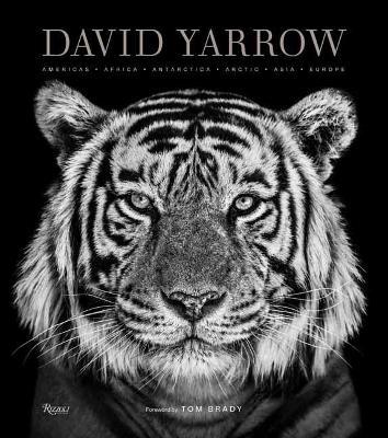 David Yarrow Photography: Americas Africa Antarctica Arctic Asia Europe - David Yarrow,Tom Brady - cover