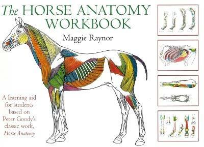Horse Anatomy Workbook: A Learning Aid for Students Based on Peter Goody's Classic Work, Horse Anatomy - Maggie Raynor - cover