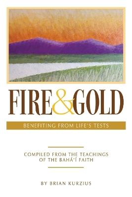 Fire and Gold - new edition - Brian Kurzius - cover