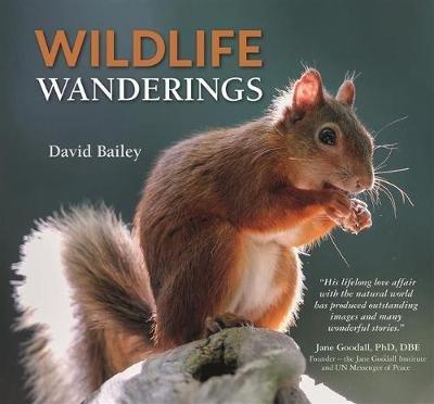 Wildlife Wanderings - David Bailey - cover