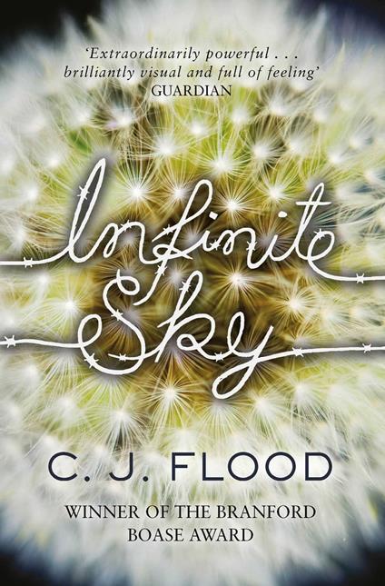 Infinite Sky - C. J. Flood - ebook