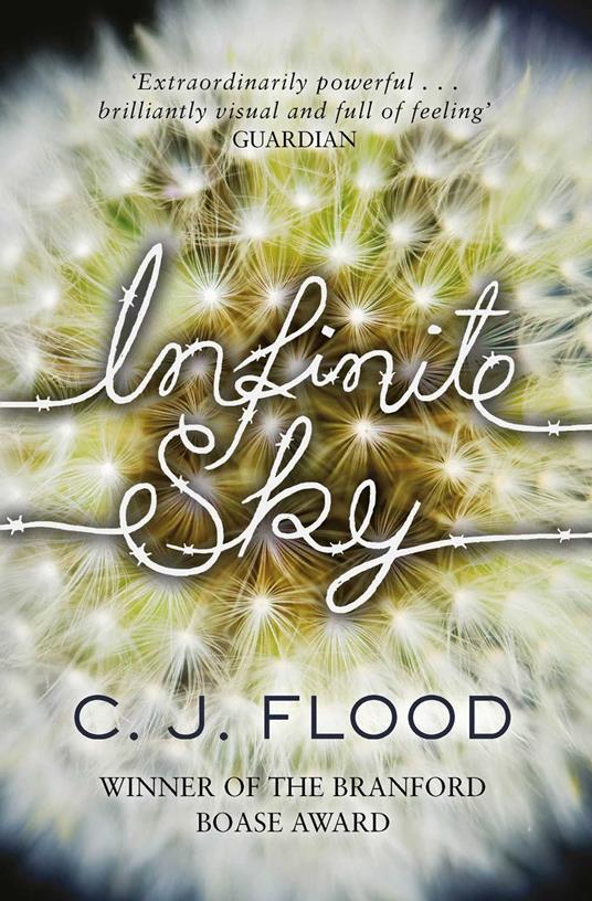 Infinite Sky - C. J. Flood - ebook
