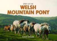 Spirit of the Welsh Mountain Pony - Fleur Hallam - cover