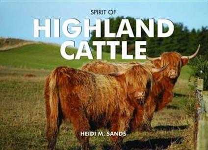 Spirit of Highland Cattle - Heidi M. Sands - cover
