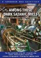 Among These Dark Satanic Mills: Britain's Industrial Heritage, volume 4 - John Hannavy - cover