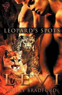 Levi - Bailey Bradford - cover