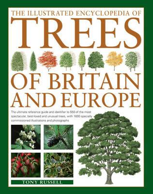 The Illustrated Encyclopedia of Trees of Britain and Europe: The Ultimate Reference Guide and Identifier to 550 of the Most Spectacular, Best-Loved and Unusual Trees, with 1600 Specially Commissioned Illustrations and Photographs - Tony Russell - cover