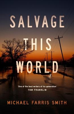 Salvage This World - Michael Smith - cover