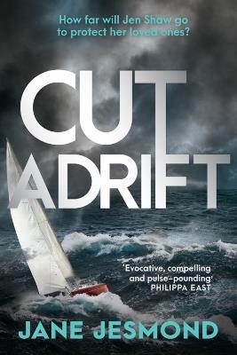 Cut Adrift: A Times Thriller of the Year - 'trimly steered and freighted with contemporary resonance' - Jane Jesmond - cover