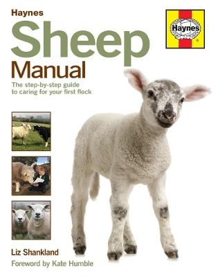Sheep Manual: The complete step-by-step guide to caring for your flock - Liz Shankland - cover