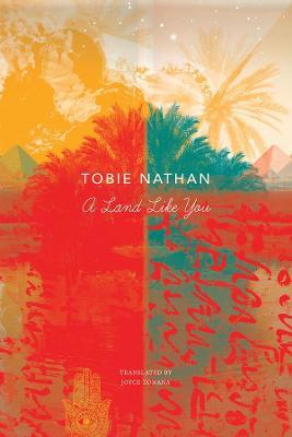A Land Like You - Tobie Nathan - cover