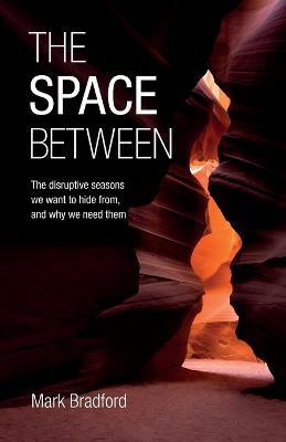 The Space Between: The disruptive seasons we want to hide from, and why we need them - Mark Bradford - cover