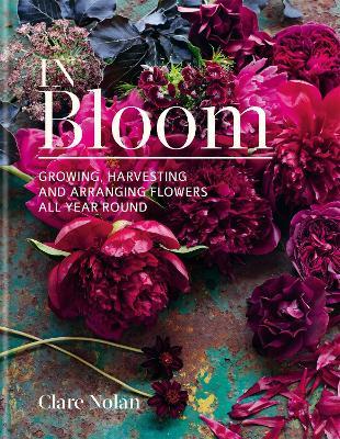 In Bloom: Growing, harvesting and arranging flowers all year round - Clare Nolan - cover