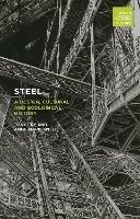 Steel: A Design, Cultural and Ecological History - Tony Fry,Anne-Marie Willis - cover