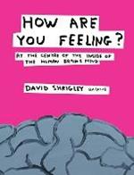 How Are You Feeling?: At the Centre of the Inside of The Human Brain's Mind