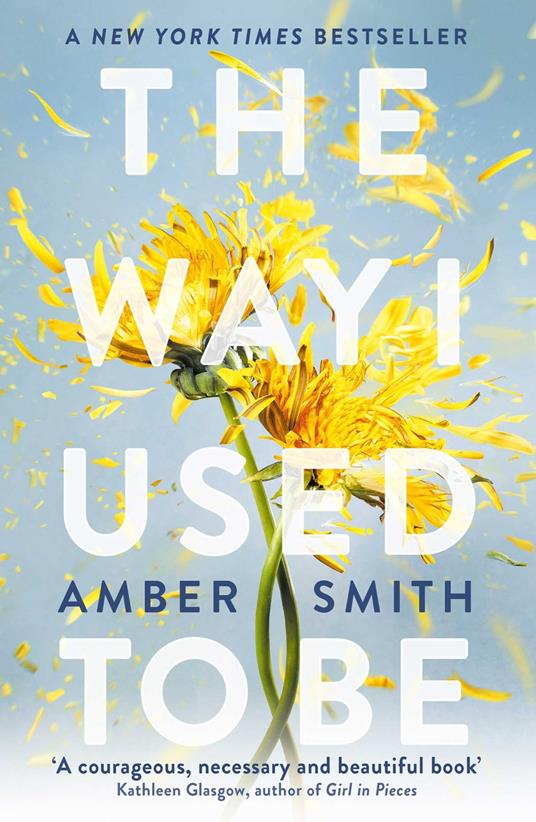 The Way I Used to Be - Amber Smith - ebook