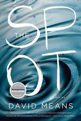 The Spot: Stories - David Means - cover