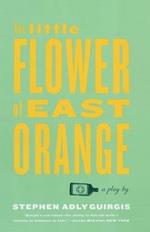 The Little Flower of East Orange