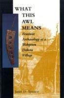 What This Awl Means: Feminist Archaeology at a Wahpeton Dakota Village