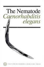 Nematode, Caenorhabditis Elegans