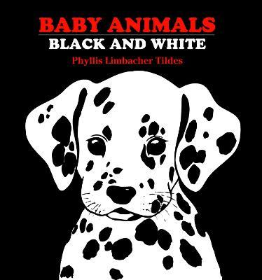 Baby Animals Black and White - Phyllis Limbacher Tildes - cover