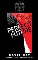 A Perfect Future - David Hay - cover