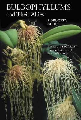 Bulbophyllums and Their Allies - Emly A Siegerist - cover