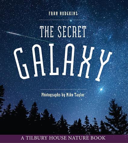 The Secret Galaxy - Fran Hodgkins,Mike Taylor - ebook