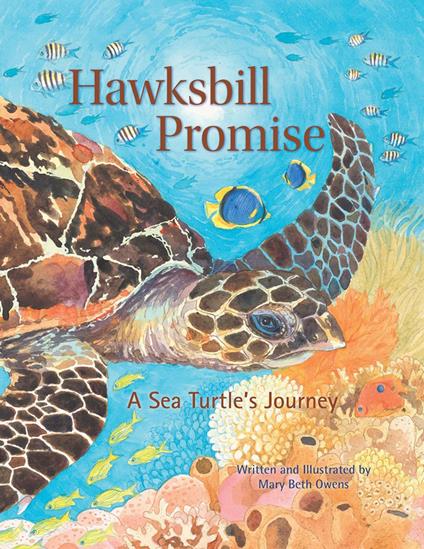 Hawksbill Promise - Mary Beth Owens - ebook