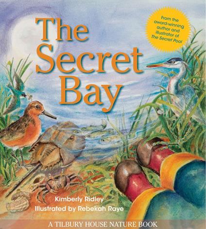 The Secret Bay - Kimberly Ridley,Rebekah Raye - ebook