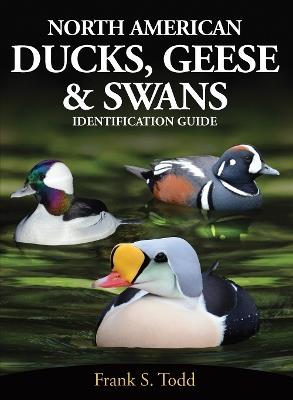 North American Ducks, Geese and Swans: an identification guide - Frank Todd - cover