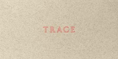 Jenny Holzer: Trace - cover