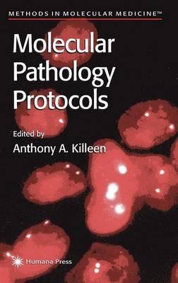 Molecular Pathology Protocols - cover